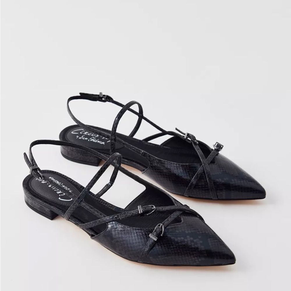 Circus NY By Sam Edelman | Lindley Pointed Toe Slingback